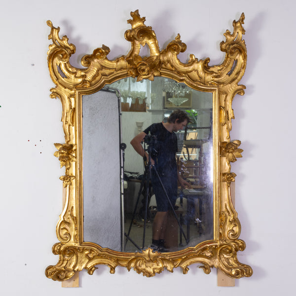 A Large 19th Century Italian Neo-Rococo Carved Giltwood Mirror