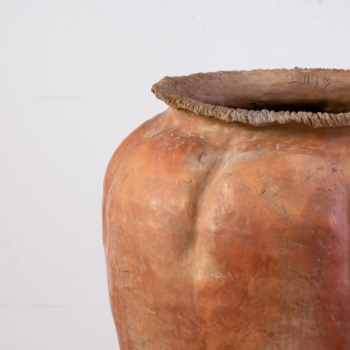 Large Organic Shaped Terracotta Pot The Vault Sydney