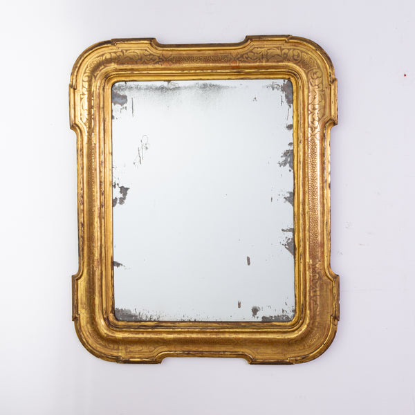 19th Century Piedmont Giltwood Mirror