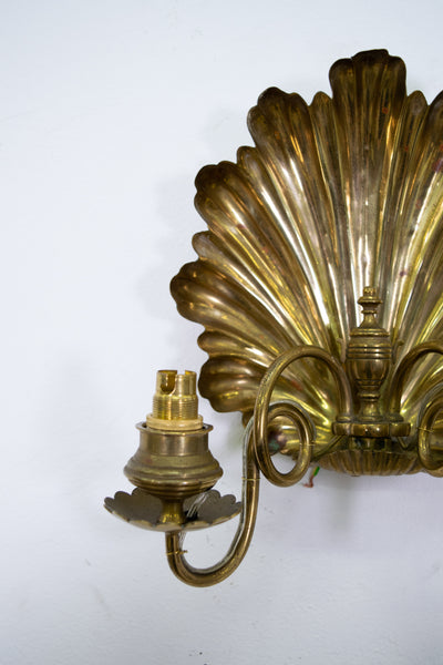 Pair of 19th Century English Brass Shell Sconces